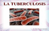 LA TUBERCULOSIS - mraquin.files.wordpress.com · A lo largo de la historia llamada también tisis, consunción, ... Meningitis tuberculosa:-En niños e infectados con VIH.-Cefalea,