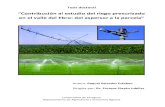 “Contribución al estudio del riego presurizado en el …digital.csic.es/bitstream/10261/39376/1/SalvadorR_TD_2011.pdf · estudio en detalle de estos sistemas de riego. En general,