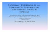 Fortalezas y Debilidades de los Programas de ...dds.cepal.org/eventos/presentaciones/2009/0304/Seminario-Honduras.… · En Guatemala, Honduras y Nicaragua ... • Encuentran aceptación
