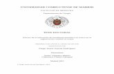 UNIVERSIDAD COMPLUTENSE DE MADRID - …eprints.ucm.es/16337/1/T33935.pdf · Formación del disco germinativo bilaminar al 8º-9º día de la ... responsables tanto de la síntesis