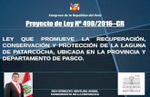 Congreso de la República del Perú Proyecto de Ley Nº … · en el perímetro de la laguna, las cuales ... Amaru, vienen vertiendo sus aguas ... padres de familia que hace una