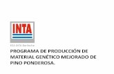 Programa de producción de material genético mejorado de ...jornadasforestales2013.unpa.edu.ar/.../1/AlejandroMartinezMeier_1.pdf · – su archivo de resultados ppt •Descripción