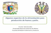 Algunos aspectos de la alimentación para producción de huevo …cic.zoga.com.mx/...aspectos-de-la...la-produccion-de-huevo-y-pollo.pdf · La industria avícola es la actividad pecuaria