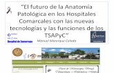 El futuro de la Anatomía Patológica en los Hospitales ...e-pat.org/DVD/pdf/mmanrique.pdf · de Gestión Sanitaria, 14 de Enero de 2011. • Real decreto del Ministerio de Educación