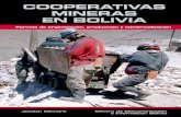 COOPERATIVAS - aciamericas.coop · COOPERATIVAS MINERAS EN BOLIVIA Formas de organización, producción y comercialización Jocelyn Michard Centro de Documentación e Información