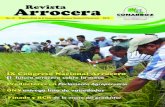 Revista Arrocera - Conarroz · cadena productiva del arroz, más allá de la conocida relación entre productores e industriales en el periodo comprendido entre 2009 y 2012, así