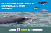 Lista de Especies de Cetáceos Registradas en Aguas ... · La riqueza en especies y ecosistemas que hace del Perú ... ESPECIE NOMBRES COMUNES IMAGEN ... Bufeo colorado, delfín rosado