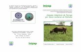 Consumo Voluntario de Forraje por Vacas Lecheras en …€¦ · relacionada con los factores que afectan el consumo de alimento en los rumiantes, ... Algunos autores consideran a