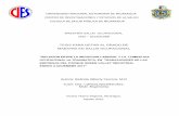 UNIVERSIDAD NACIONAL AUTONOMA DE NICARAGUA CENTRO DE ...repositorio.unan.edu.ni/7418/1/t661.pdf · Utilizando la siguiente metodología tipo de estudio analítico de casos y ... con