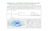 TEMA 11: ESTRUCTURA CELULAR. - cosmolinux.no …cosmolinux.no-ip.org/.../BIO1erBAT/Citologia/Estructura_celular.pdf · 1 TEMA 11: ESTRUCTURA CELULAR. 1.-ESQUEMA GENERAL DE LA CÉLULA