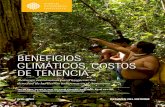 BENEFICIOS CLIMÁTICOS, COSTOS DE TENENCIAwriorg.s3.amazonaws.com/s3fs-public/Climate_Benefits_Tenure_Cost…el costo de asegurar la tenencia es de 5 a 29 veces menor que los costos