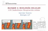 BLOQUE 2. BIOLOGÍA CELULAR 2.8 Catabolismo: …a... · Catabolismo El catabolismo es el conjunto de reacciones metabólicas cuya finalidad consiste en proporcionar a la célula los