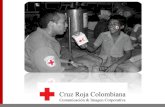 ANTECEDENTESweb.cruzrojacolombiana.org/publicaciones/pdf/voluntariado1... · mensajes claves institucionales. ... 3.Presentación personal de los empleados de la Cruz Roja 4.Mesa