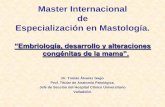 Master Internacional de Especialización en Mastología. · de Especialización en Mastología. “Embriología, desarrollo y alteraciones ... días 3 y 7 •El epitelio esta orientado