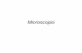 Microscopio - Iniciojura/Fisica_II/semana_XVbio.pdf · microscopio compuesto. Los elementos esenciales de un microscopio se muestran en la figura 70. Para analizar este sistema, utilizamos
