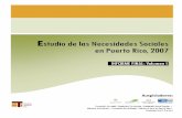 Estudio de las necesidades sociales en Puerto Rico, … y... · Estudio de las necesidades sociales en Puerto Rico, 2007 Volumen I Estudios Técnicos, Inc ...