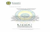 UNIVERSIDAD DE CUNDINAMARCA - …intranet.unicundi.edu.co/extensionuniversitaria/documents/CONCURSO... · El proyecto Educativo de la Universidad de Cundinamarca, ... sobre el plan