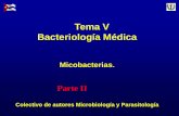 Tema V Bacteriología Médica - NOTICIAS | UVS Fajardouvsfajardo.sld.cu/sites/uvsfajardo.sld.cu/files/vi_micobacterias... · Descrito por Hansen en 1873. Agente etiológico de la