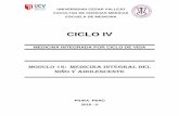 CICLO IV - consultoriameducvpiura.typepad.comconsultoriameducvpiura.typepad.com/files/módulo-16-201002.pdf · Este nuevo enfoque, pretende estimular en el alumno el desarrollo del