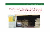 C A P Í T U L O VIII - correo.cafedecolombia.comcorreo.cafedecolombia.com/productivo/Congreso.nsf... · (30.7% del total de activos no corrientes – prin-cipalmente las compañías