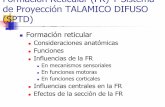 Formación Reticular (FR) Y Sistema de Proyección …paginaspersonales.deusto.es/jcaceres/ALUMNOS/TEMA 7.pdf · En mecanismos sensoriales En funciones motoras En funciones corticales