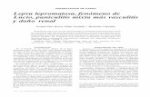 PRESENTACION DE CASOS Lepra lepromatosa, …actamedicacolombiana.com/anexo/articulos/03-1999-06.pdf · menos inflamatorios inducidos por la infiltración micobacteriana o por fenómenos