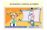 APARATO CIRCULATORIO - cosasdepatojos | Mely … · 2016-01-30 · forman el plasma sangu íneo y tres tipos de elementos formes o c élulas ... de color amarillento y en él flotan