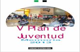 V Plan de Juventud - Instituto de la Juventudjuventudextremadura.gobex.es/filescms/web/uploaded_files/Plan_de... · respuesta a las nuevas realidades y demandas de la juventud. El