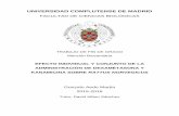 UNIVERSIDAD COMPLUTENSE DE MADRID - …eprints.ucm.es/45212/1/aedo martin.pdf · Recuento microbiológico e identificación molecular ... eliminándose el 90% por vía renal a través