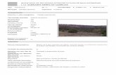 L.I.C. SABINARES SIERRA DE CABREJAS - … · Valores interpretativos Mirador del embalse de la Cuerda del Pozo, sierras norteñas del Sistema Ibérico y cuerda longitudinal de la