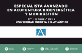 Dossier CEMETC Especialista II - Palma de Mallorca · especialista avanzado en acupuntura bioenergÉtica y moxibustiÓn tÍtulo propio de la universidad europea del atlÁntico c.e.m.e.t.c.
