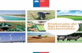 Protocolo de Agricultura Sustentable - odepa.gob.cl · Diseño y diagramación: Carla Caorsi Riveros ... cada uno de los principios de agricultura sustentable. 7 ... / PROTOCOLO AGRICULTURA