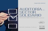 Auditoría · Clases de programas ... de control social de las organizaciones solidarias ... Procedimiento de auditoría ...