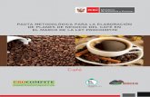 PAUTA METODOLÓGICA PARA LA ELABORACIÓN DE PLANES DE NEGOCIO DEL CAFÉ EN EL MARCO DE ... · 2016-09-26 · Presentar la tabla de balance de oferta y demanda proyectado en el horizonte