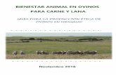BIENESTAR ANIMAL EN OVINOS PARA CARNE Y …a_de_Recomendaciones_Ovinas... · pasturas naturales, con ovinos y bovinos pastando en forma conjunta. En 2015 Uruguay tenía 6.452 millones
