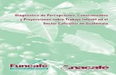 Diagnóstico de Percepciones, Conocimientos y …white.lim.ilo.org/ipec/documentos/diagnostico_funcafe_guatemala.pdf · brindar un panorama general del diálogo que existió con cada