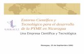 Entorno Científico y Tecnológico para el desarrollo de la PYME en … · 2007-06-12 · procesos empleados en las diferentes ramas de la industria Tecnología Avanzada: Medios materiales
