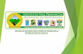 Presentación de PowerPoint - munimoyobamba.gob.pe · prueba de estabilizacion de suelos: con participación de las empresas proestech, dino selva, direccion regional de transportes