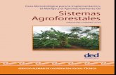 Guía Metodológica para la Implementación, el Manejo …ecosaf.org/tropico/Manual.SAF.Endversion.pdf · Instalación de una Parcela Agroforestal ..... 21 2.1 Herramientas para la