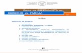 DERECHO de FAMILIA Indice - icasv-bilbao.com FAMILIA(1).pdf · Separación de hecho Divorcio Concepto ... DERECHO PENAL relacionado con los procedimientos de familia: o Proceso penal