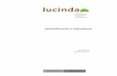 Desertificación e Indicadoresgeografia.fcsh.unl.pt/lucinda/booklets/A2_Booklet_Final_ES.pdf · naturales - sequías, inundaciones, incendios forestales - y a actividades agrícolas