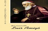 del venerable Luis Amigó · como se exige para una buena formación franciscana, que normalmente lo es por ósmosis. Por lo demás, y para una mejor formación práctica, para una