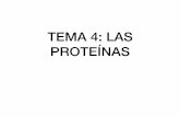 TEMA 4: LAS PROTEÍNAS · caracterÍsticas generales de las proteÍnas 2. aminoÁcidos 1. propiedades de los aminoÁcidos 2. clasificaciÓn de los aminoÁcidos 3. ... (del 4º aa