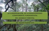 LA CONSERVACIÓN DE LA BIODIVERSIDAD …biblioteca.semarnat.gob.mx/janium/Documentos/Ciga/Libros2014/CD... · (vi) funciones socioeconómicas de los bosques; y (vii) marco normativo,