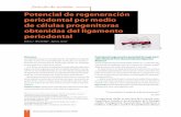 potencial de regeneración periodontal por medio de …³n tisular guiada (RTG), la aplicación tó-pica de proteínas derivadas de la matriz del esmalte (EMG) y el uso de diversos