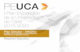 ÍNDICE - destrategico.uca.esdestrategico.uca.es/wp-content/uploads/2017/05/ivagro.pdf · definidas en el Plan Estatal de Investigación Científica, Técnica y de Innovación (PAIDI),