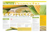 El maíz - escritocrossmedia.com · > 606 calorías. > 8 gr. de grasa. De estos, 1 gr. es de grasa saturada. > 58 mg. de sodio. > 16 gr. de proteínas. > 0 colesterol. Tiene un alto