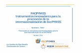 PACPYMES Instrumentos innovadores para la promoción de la internacionalización de … · (información de mercado y de la estrategia de negocio propia) Generación de capacidades