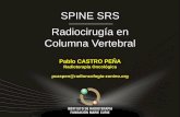 SPINE SRS Radiocirugía en Columna Vertebralalatro2017.grupoaran.com/ponencias/5-noviembre/3-pcp-spinesrs-5nov... · SBRT a DT = 27-30 Gy e 3 fr ... Seguimiento con RM cada 6-8 semanas