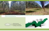 RENTABILIDAD DE LA INVERSIÓN EN PLANTACIÓN … · Rentabilidad Forestal Página 1 1. Introducción Las inversiones forestales en Paraguay siguen despertando interés de inversionistas